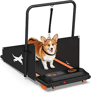 Dog Treadmill – Electric Running Machine for Small & Medium Dogs, 220 lbs Capacity, Remote Control & 12 Programs