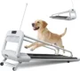 FYC 2025 Dog Treadmill – Quiet 2.5 HP Motor, Remote Control, 6° Incline, Supports 265 lbs