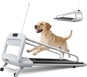 FYC 2025 Dog Treadmill – Quiet 2.5 HP Motor, Remote Control, 6° Incline, Supports 265 lbs
