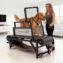 Adjustable Resistance, Disc Brake & 500LBS Capacity for Large/Medium/Small Dogs, Indoor Outdoor Use
