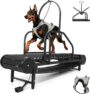 Raenate 2026 Large Dog Treadmill – Non‑Electric, Heavy Duty Indoor Running Machine with Foot Brake