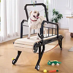 Treadmill For Sale