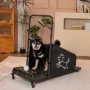 Dog Treadmill – Electric Indoor Fitness Machine with 1.5 HP Quiet Motor, Remote Control & LED Display, Non‑Slip Belt