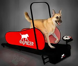 Dog PACER LF 3.1 Full Size Dog Treadmill – Folding Design, Quiet Motor, Preset Programs, Supports 179 lbs